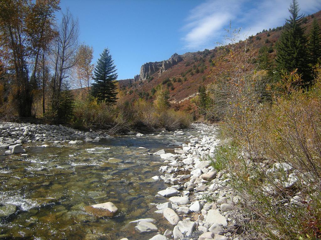 fall09 114